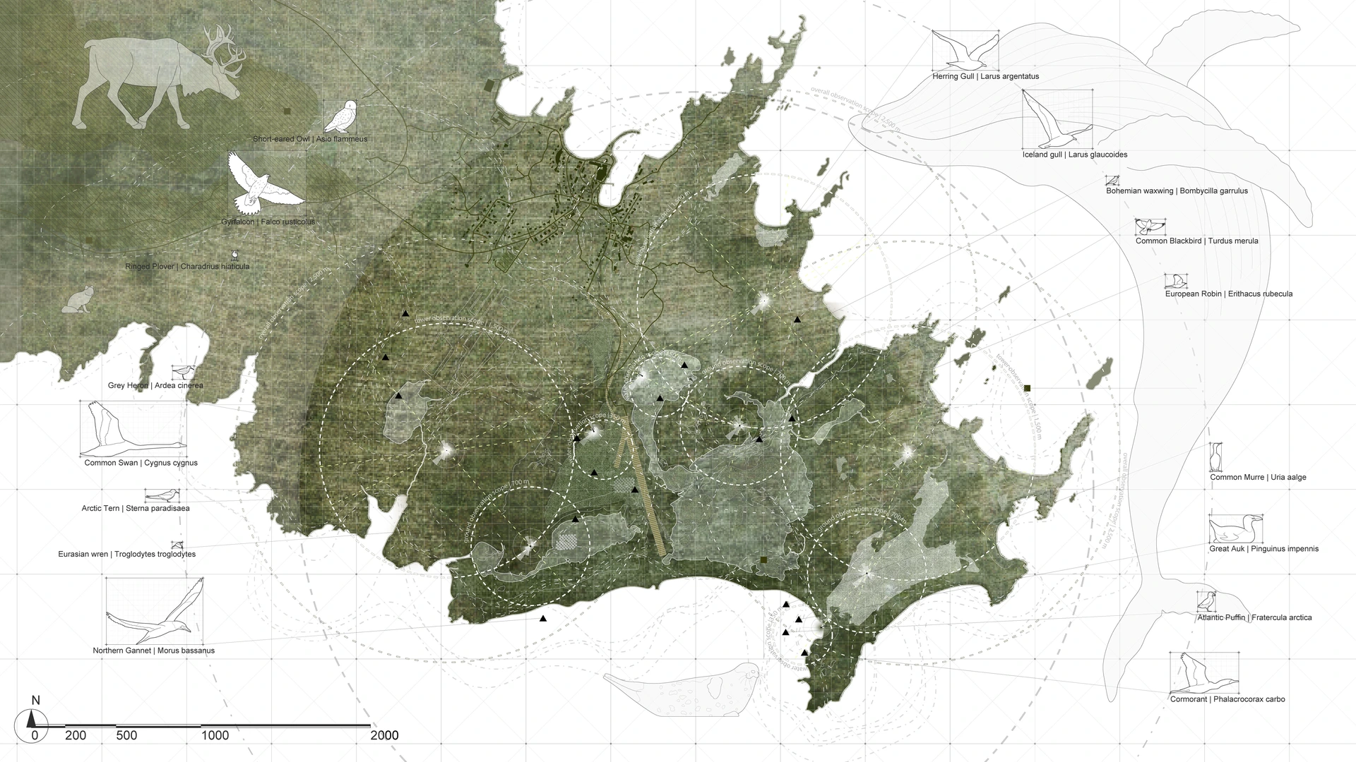 Landscape and fauna analysis
